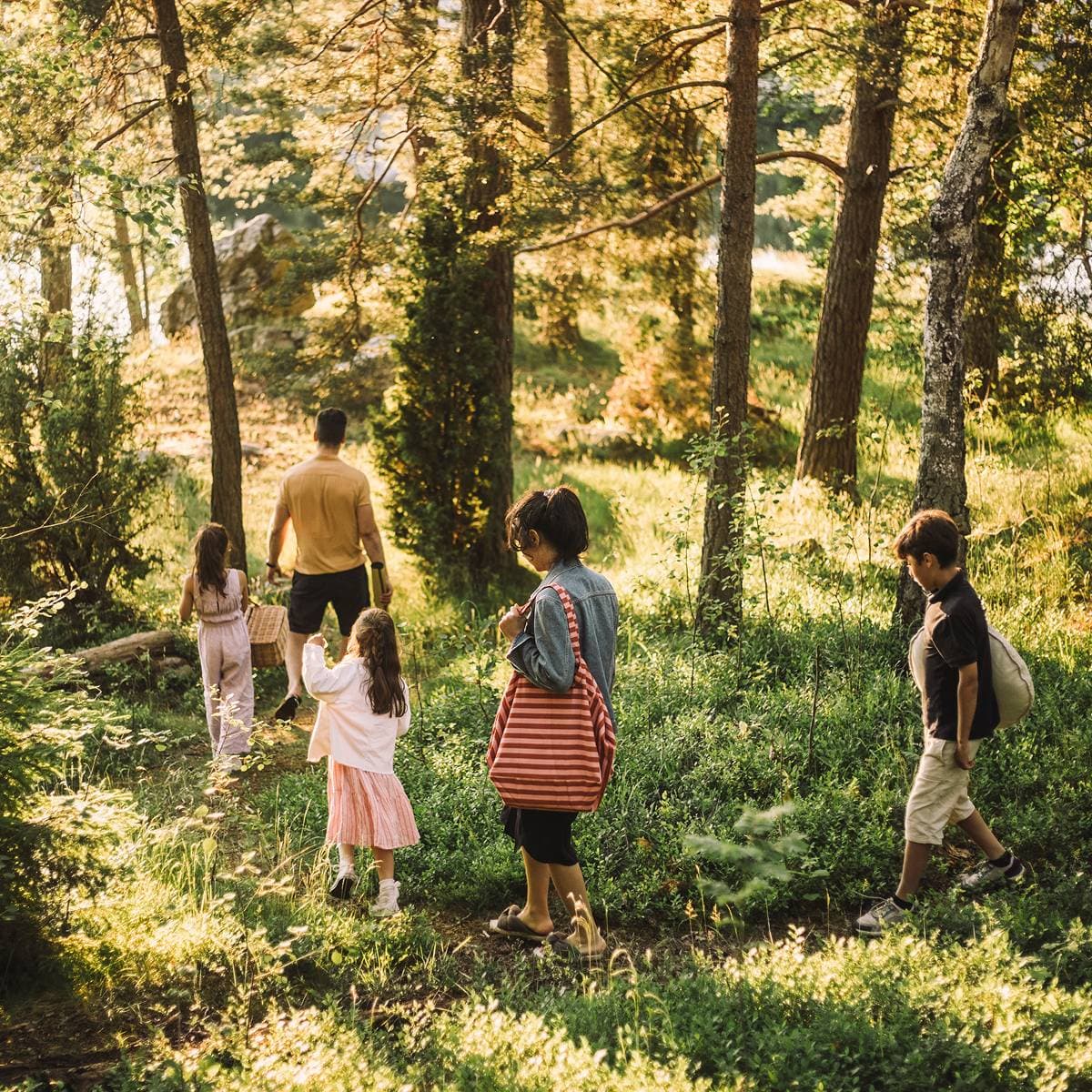 En familj promenerar i skogen med utflyktskorg och filt.