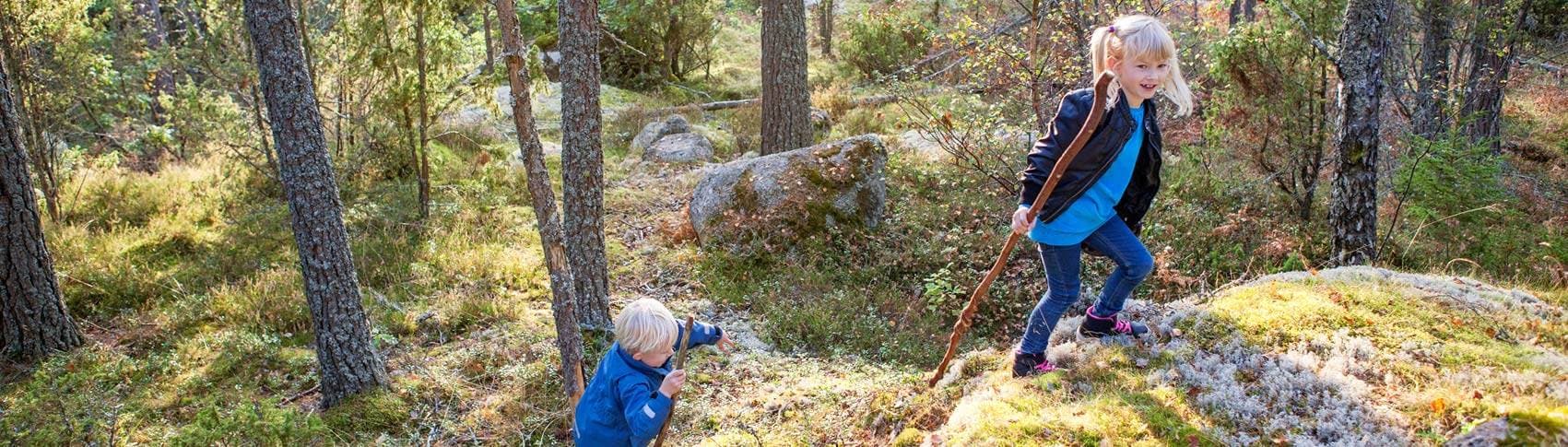 Två barn som leker i skogen