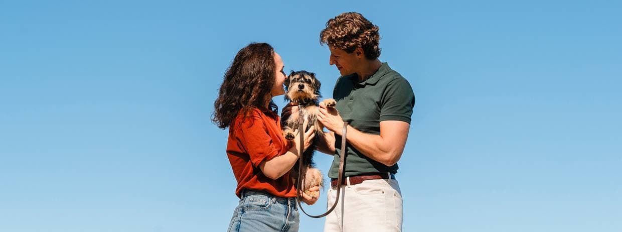 En man och hans hund sitter och ser ut över landskapet medan solen lyser dem i ansiktet